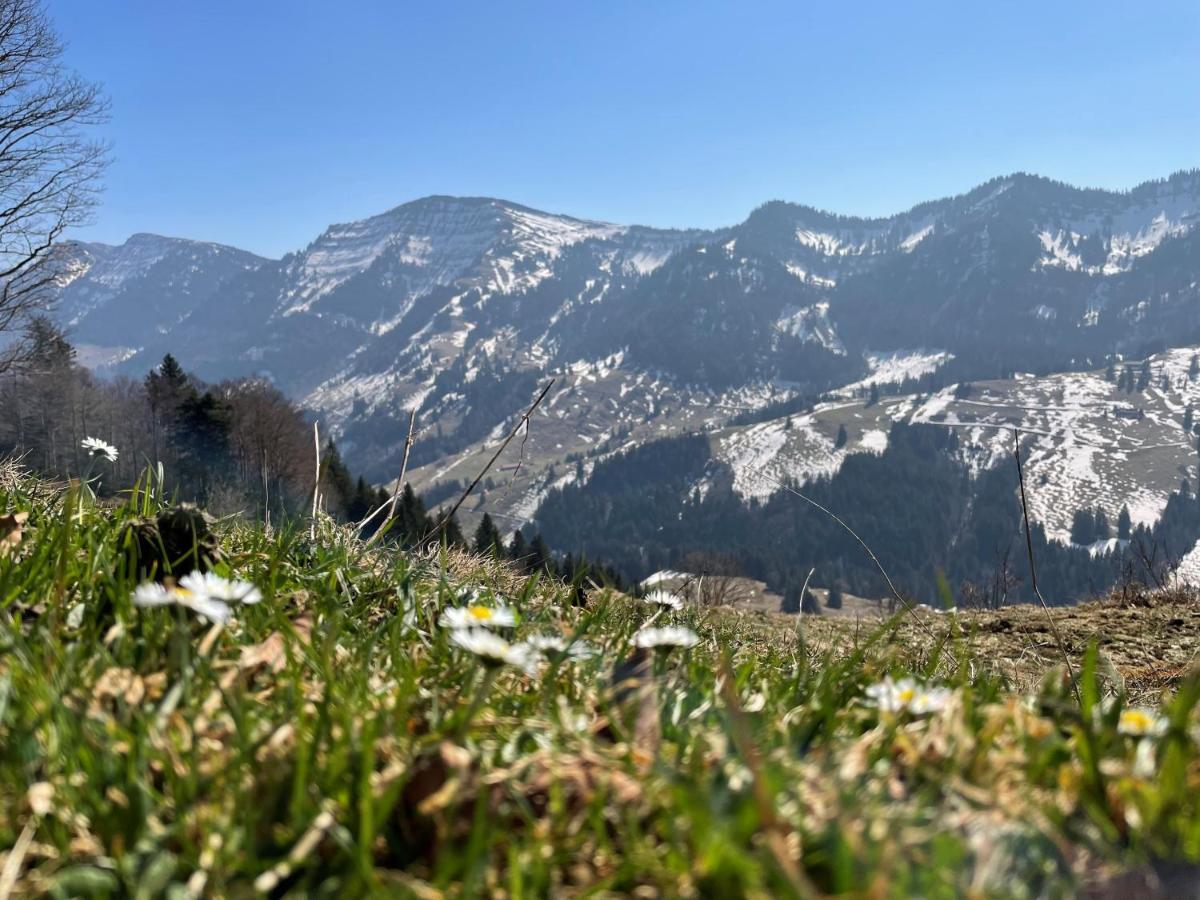 Lindner Hotel Oberstaufen Parkhotel, Part Of Jdv By Hyatt المظهر الخارجي الصورة
